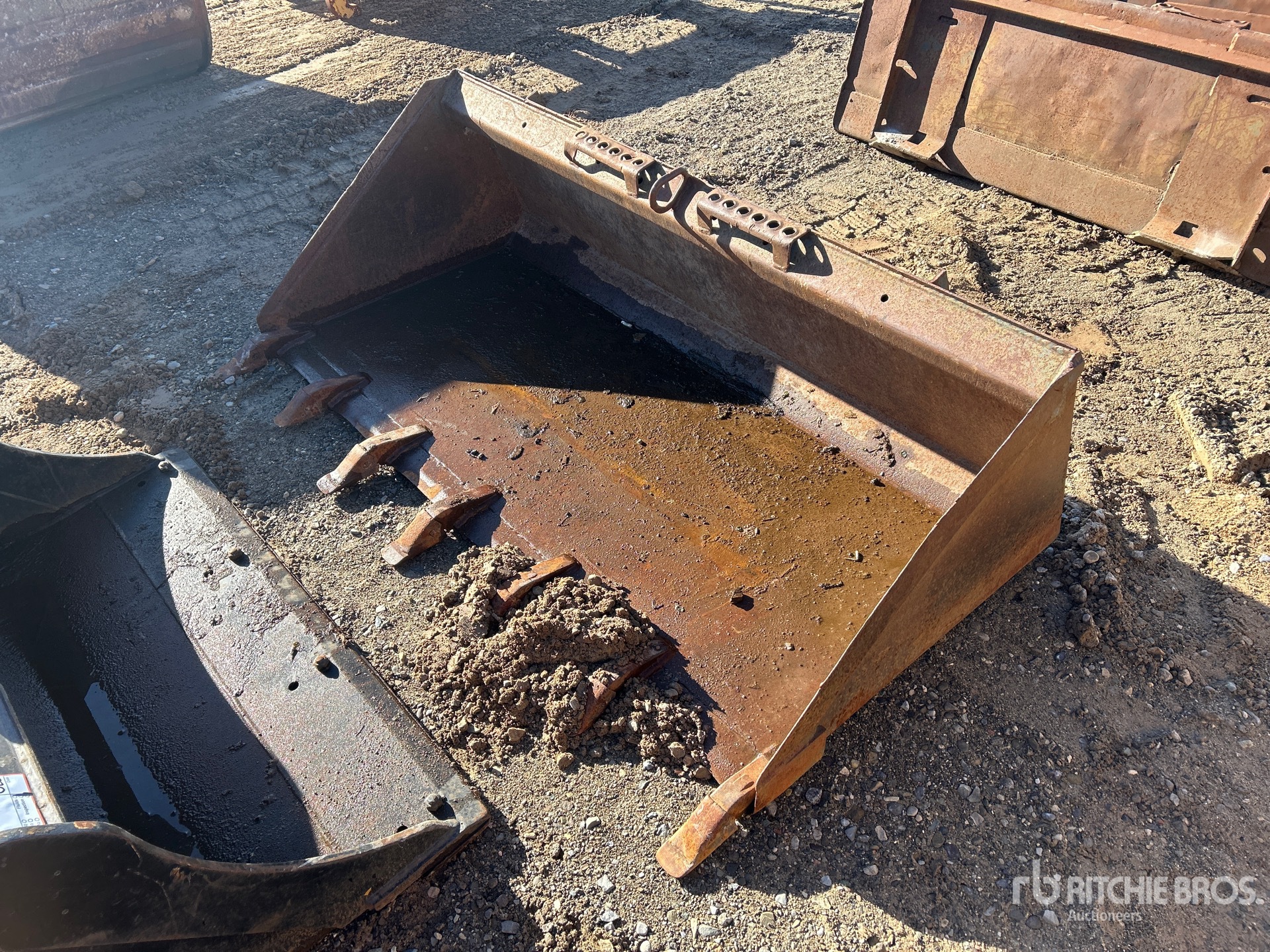 General Appearance with Zdjęcie, lewy górny róg