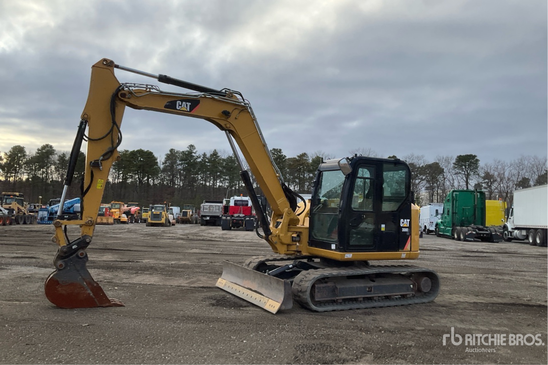 General Appearance with Spin