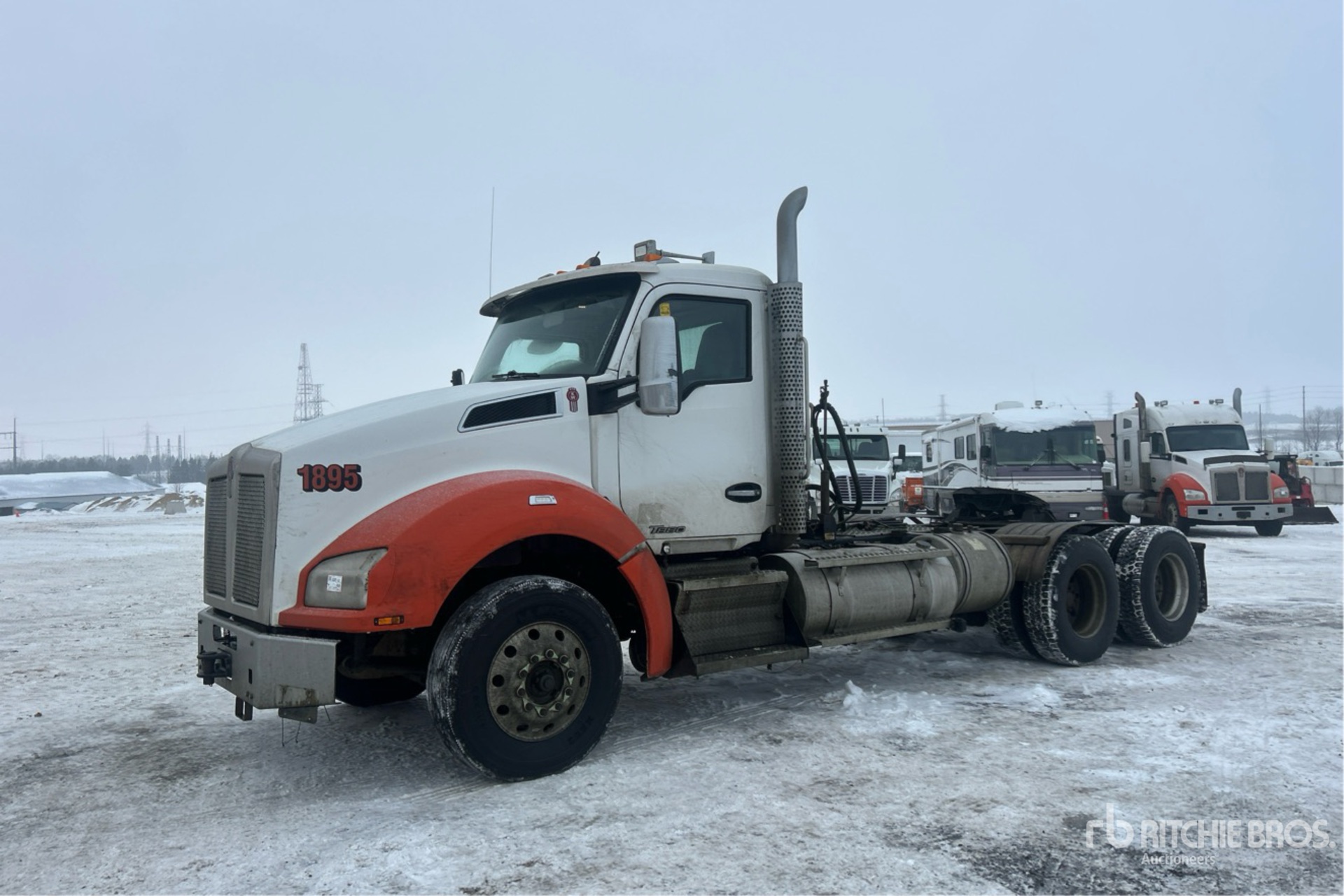 General Appearance with Spin