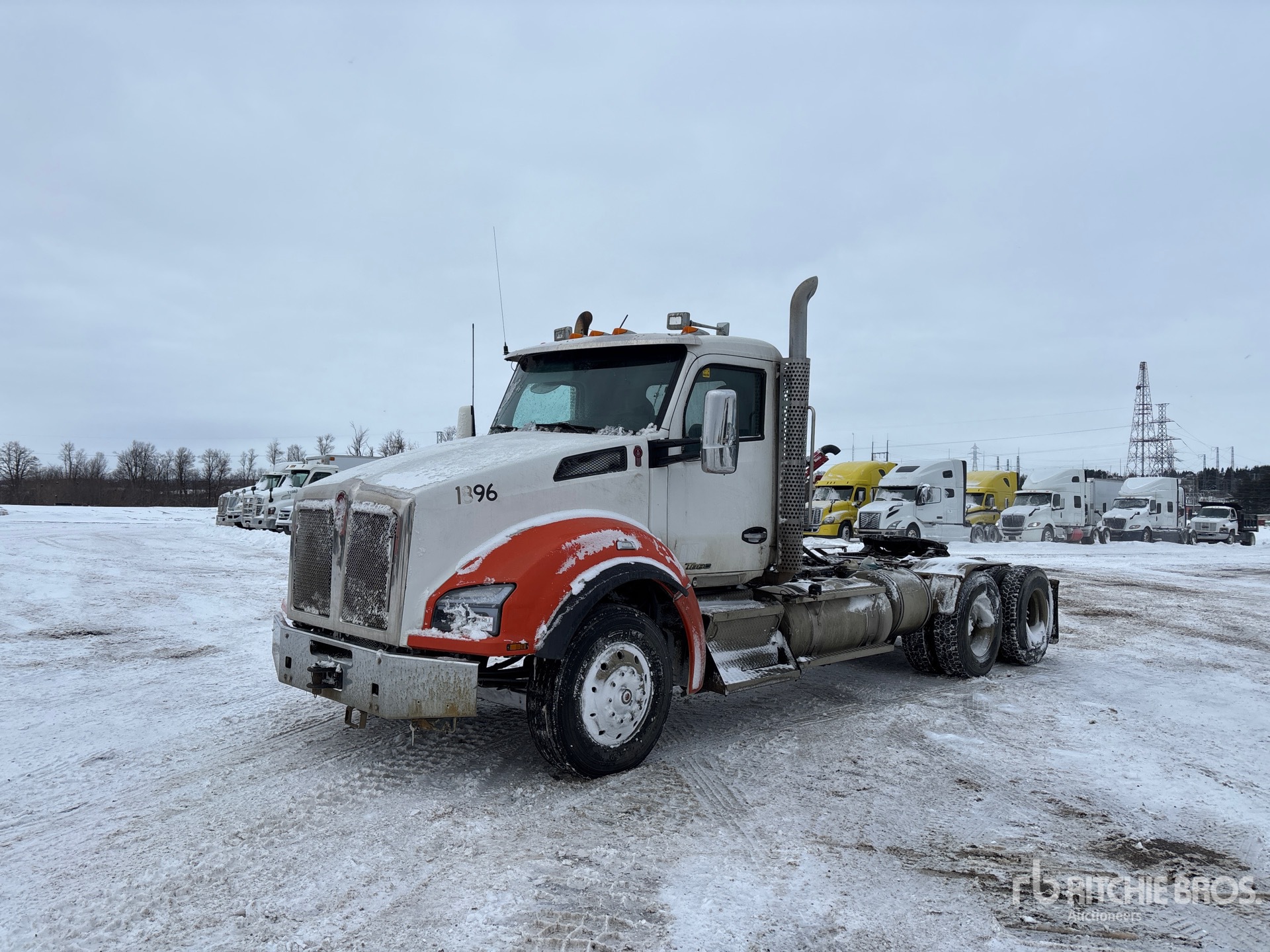 General Appearance with Spin