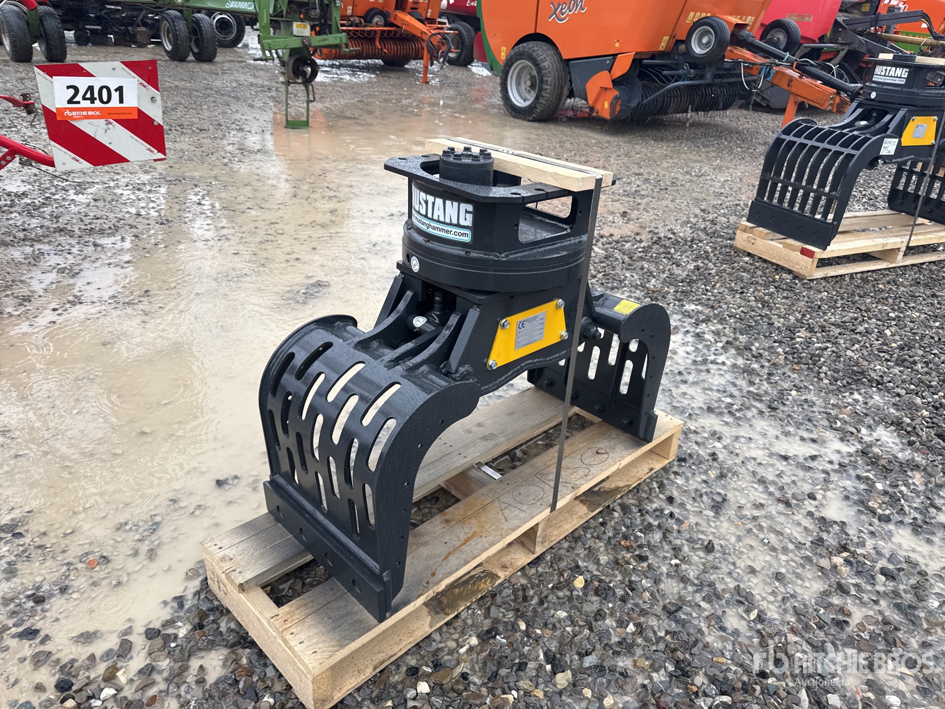 General Appearance with 