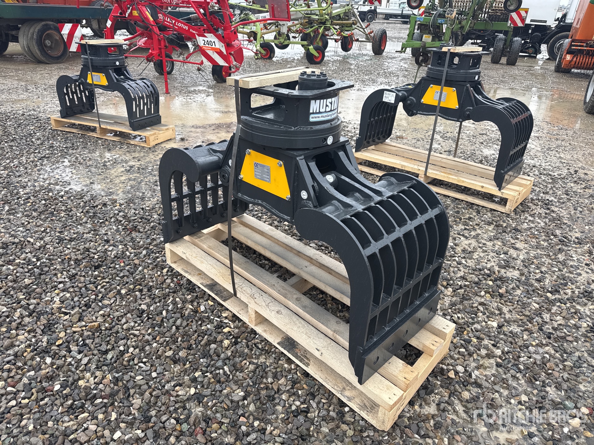 General Appearance with 