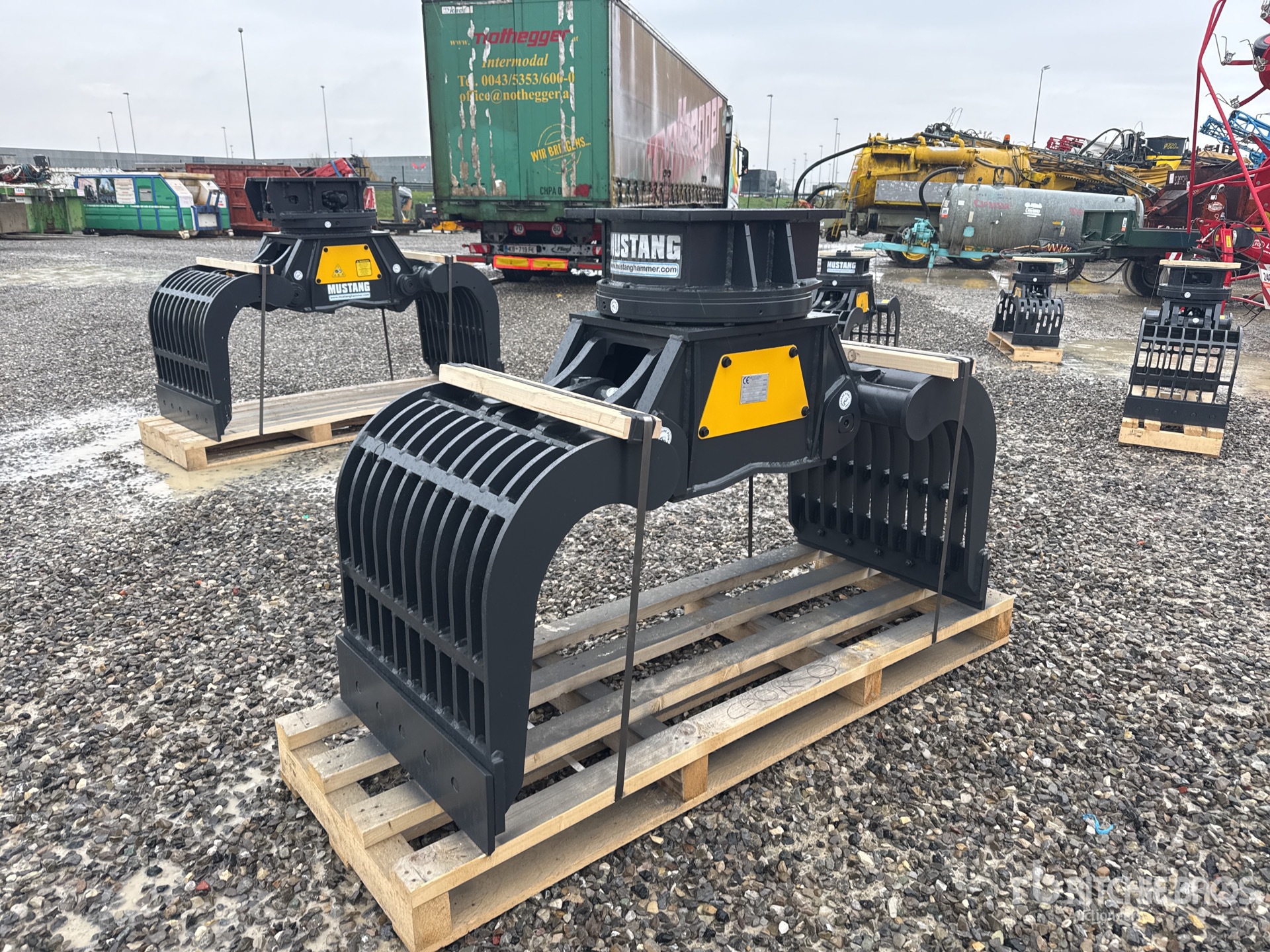 General Appearance with 