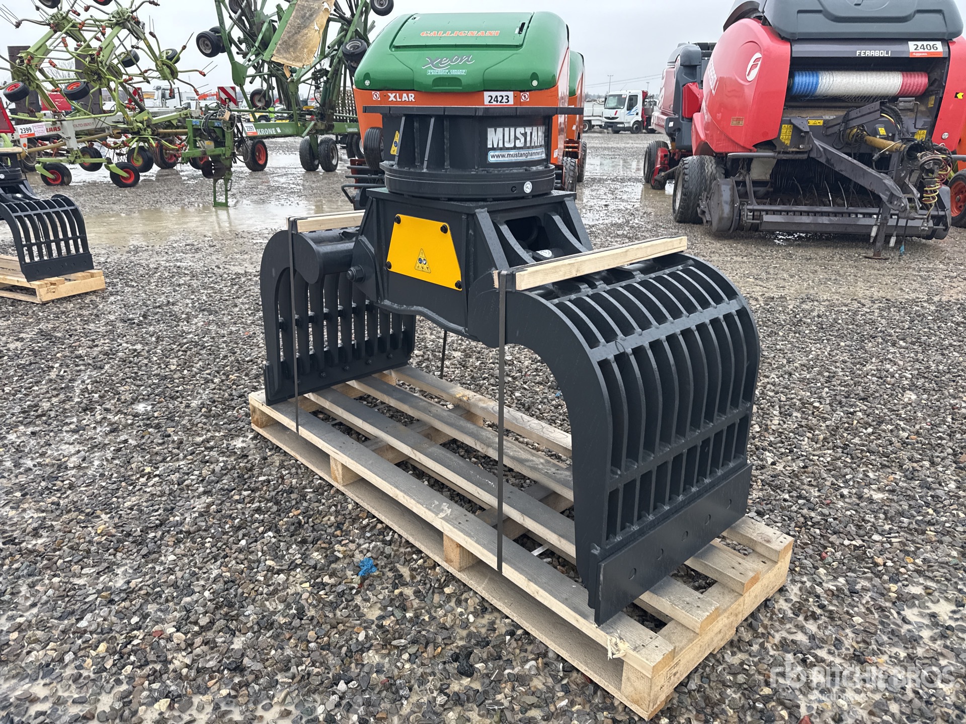 General Appearance with 