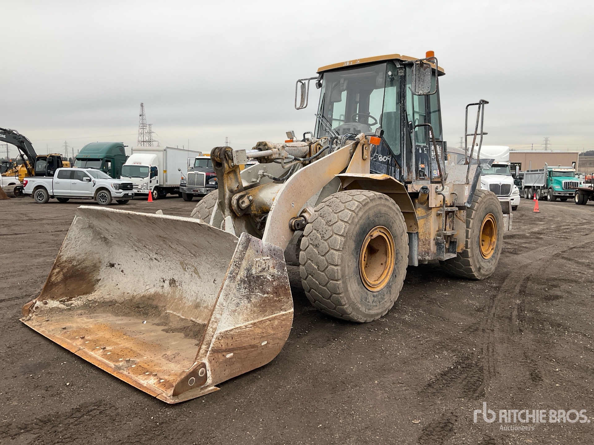 General Appearance with Spin