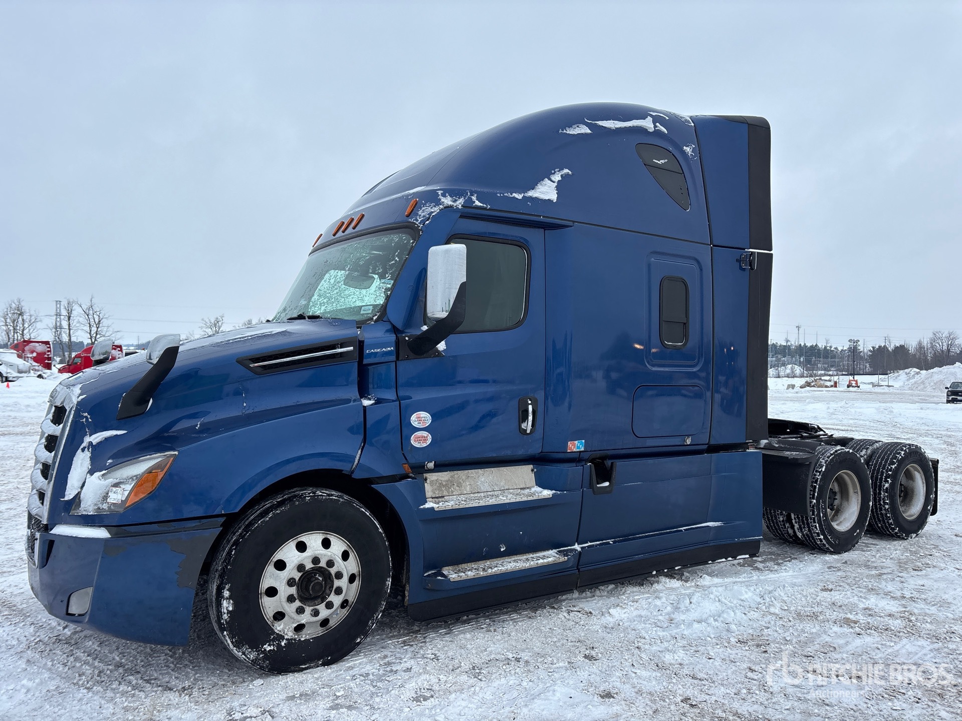 General Appearance with Spin