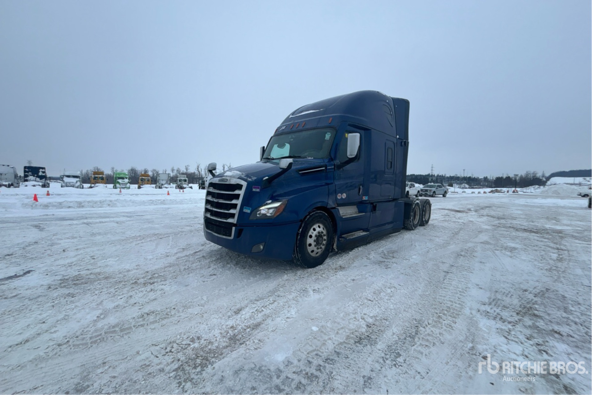 General Appearance with Spin