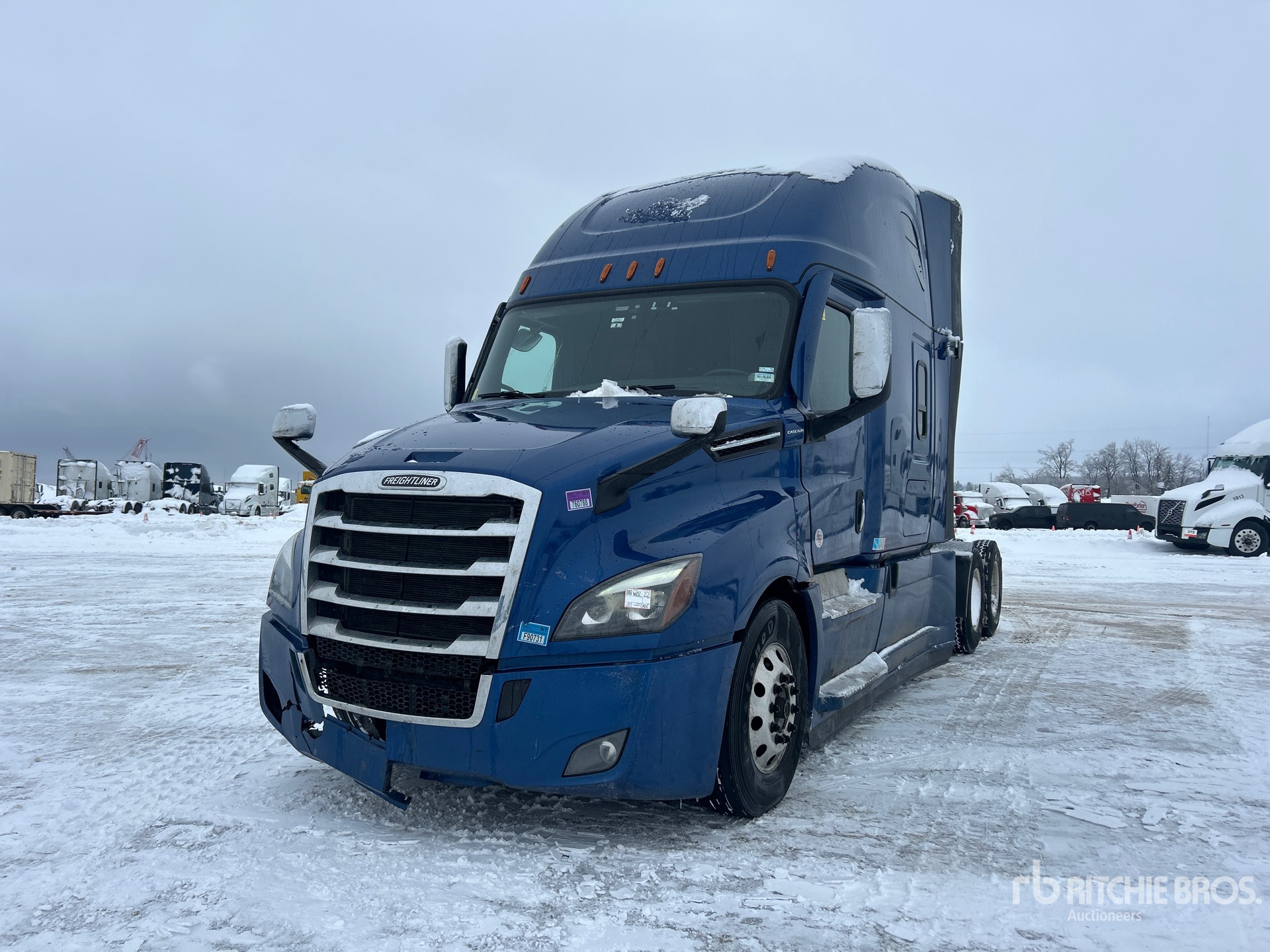 General Appearance with Spin