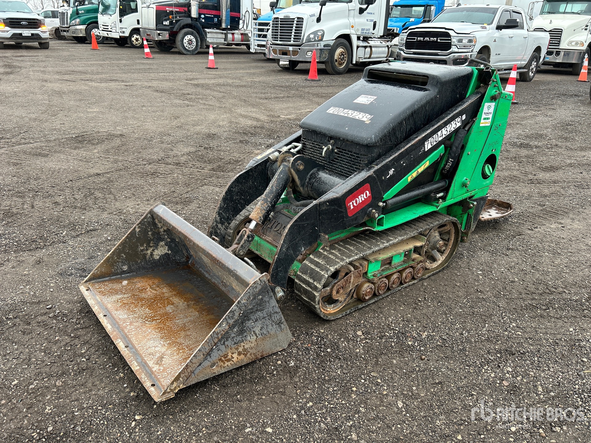 General Appearance with Spin