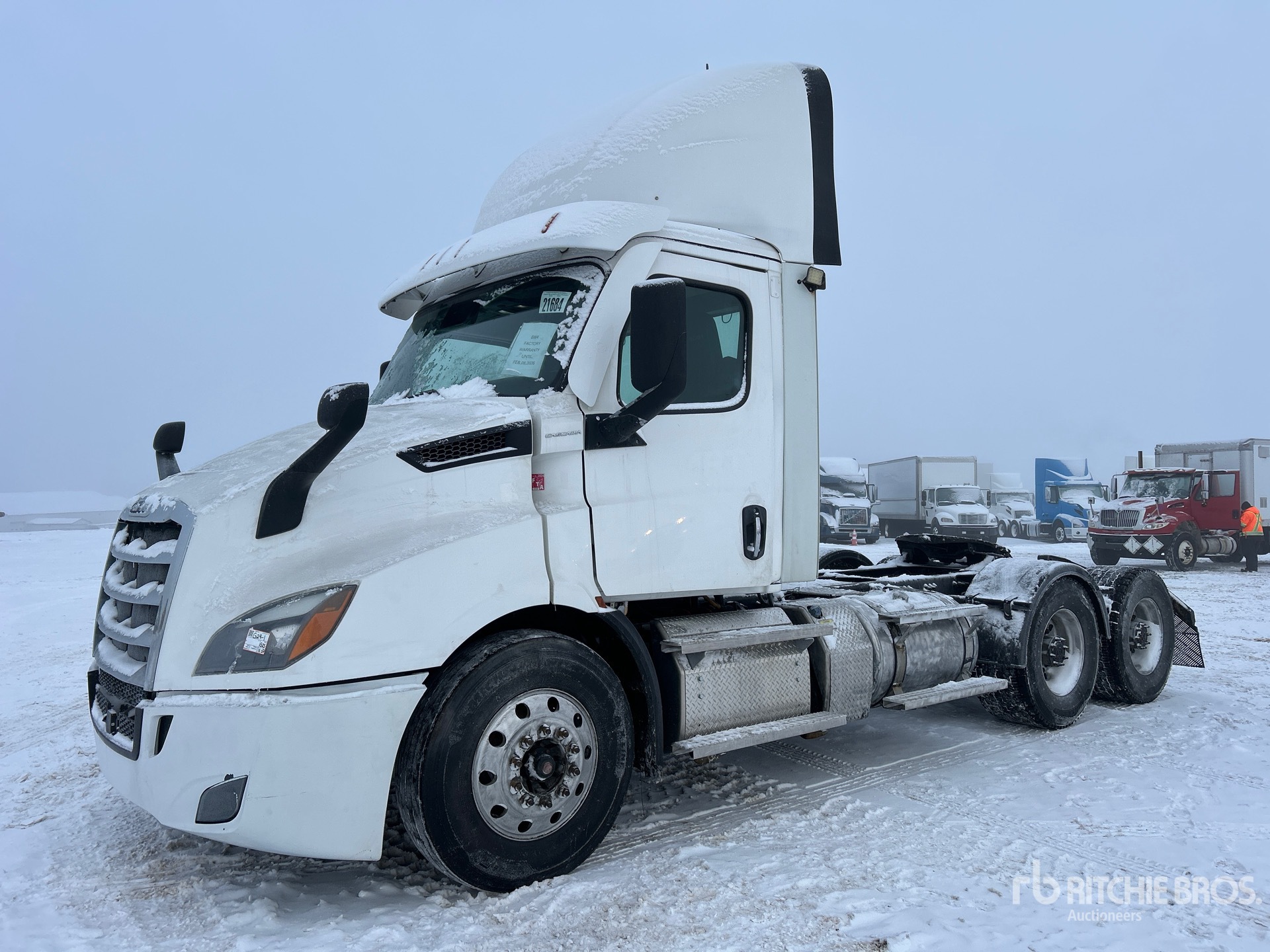 General Appearance with Spin