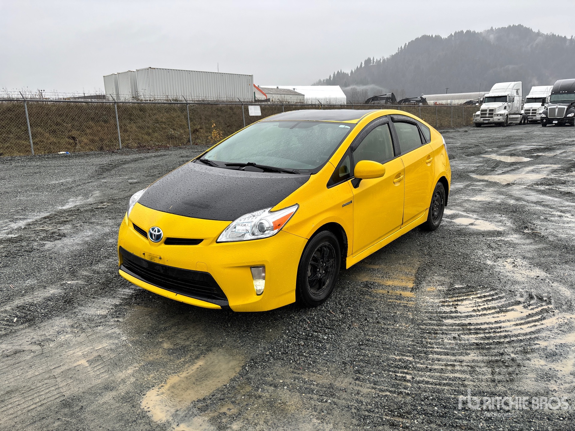 General Appearance with Spin