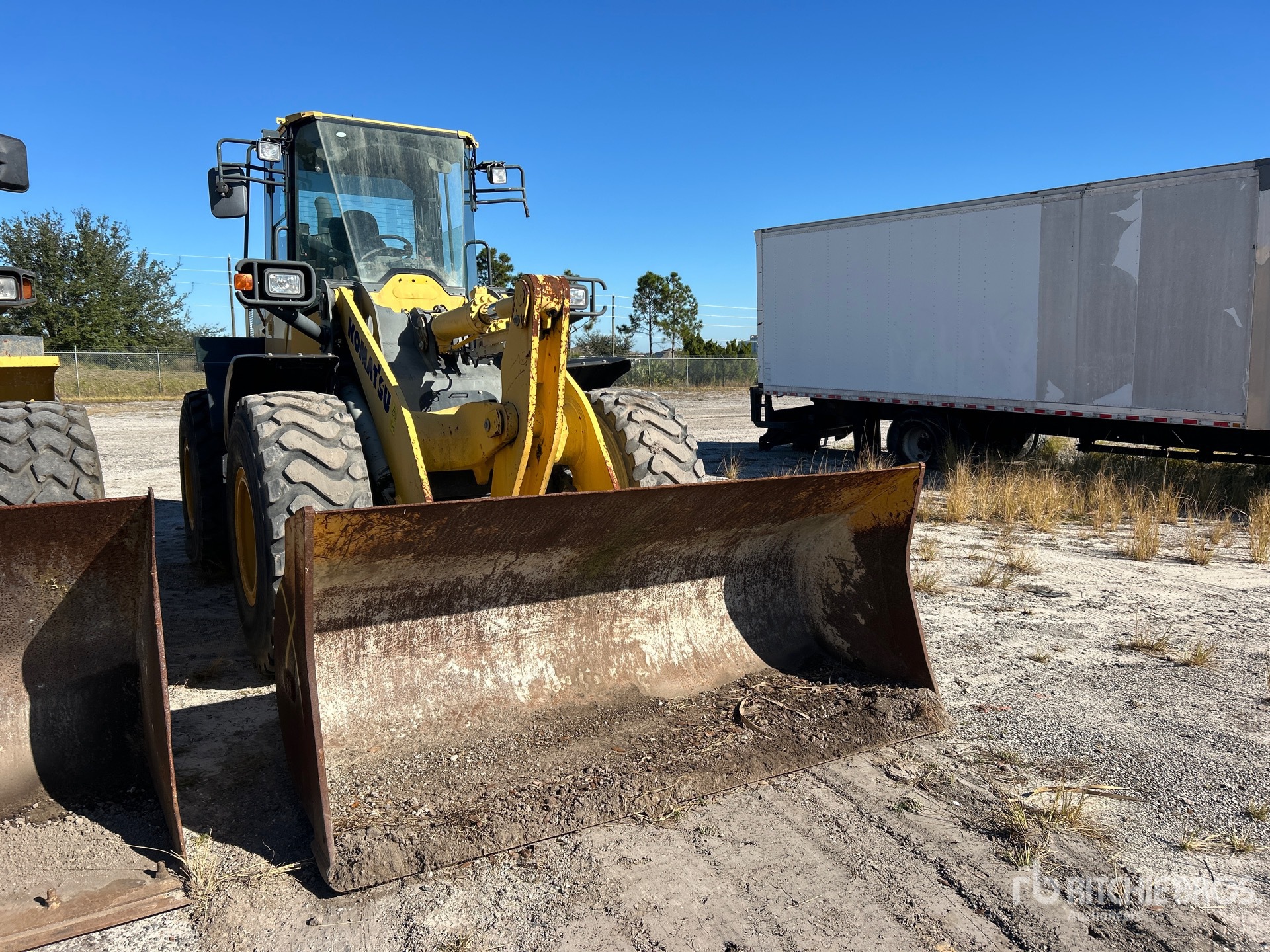 General Appearance with Zdjęcie, prawy górny róg
