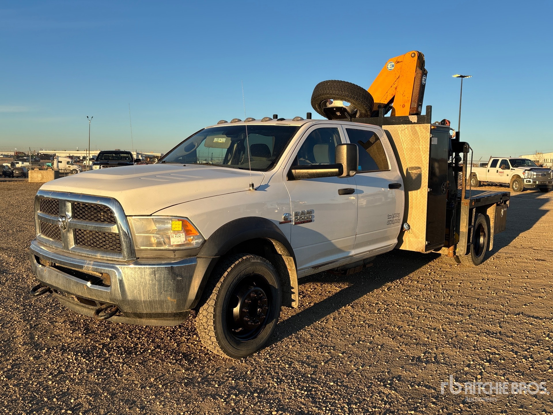 General Appearance with Spin