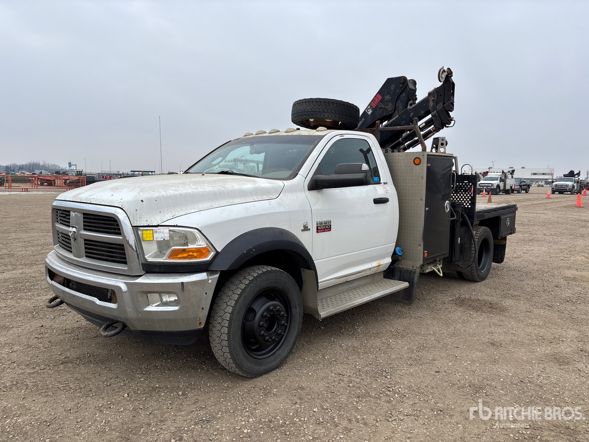 General Appearance with Spin