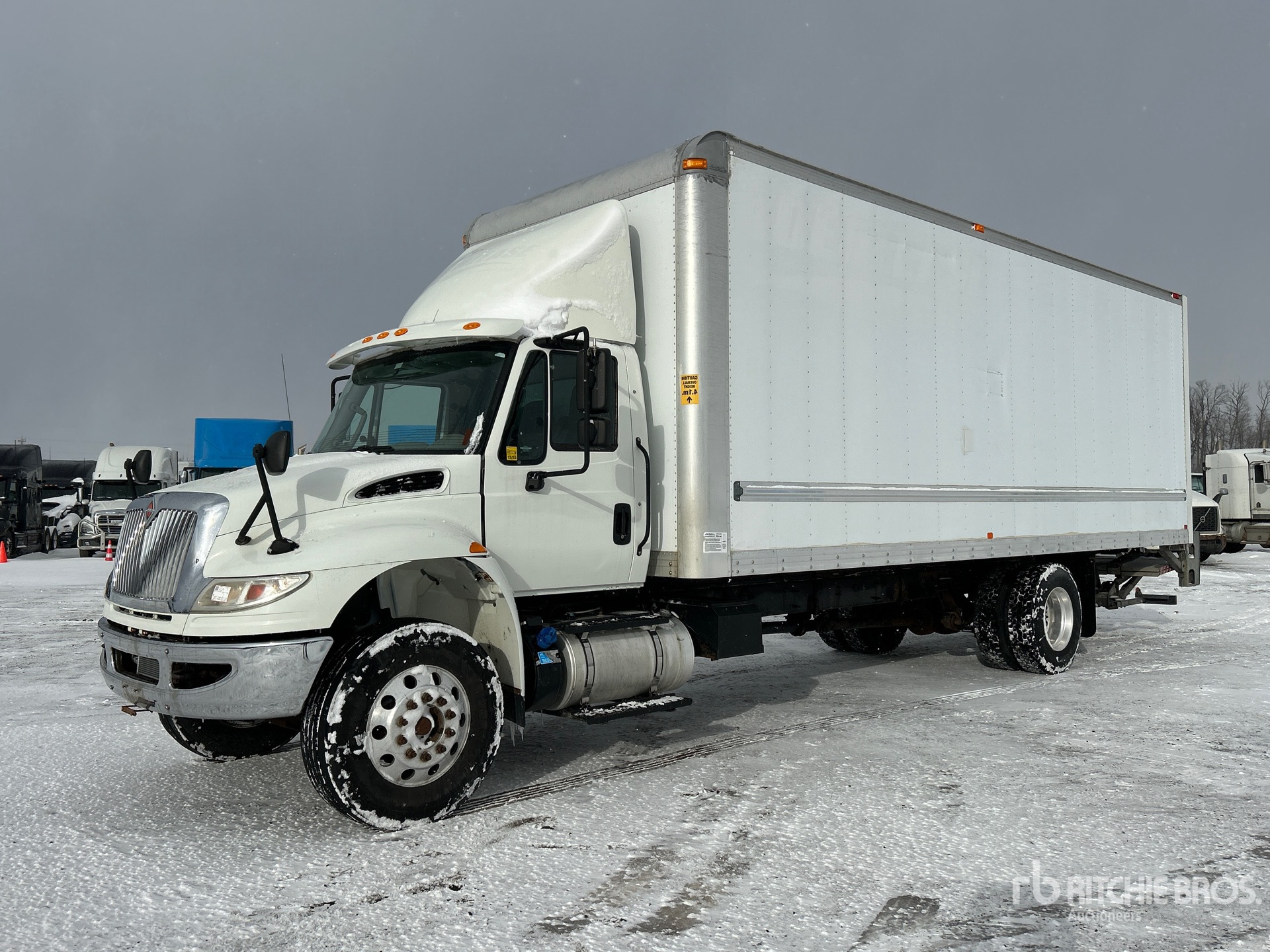 General Appearance with Spin