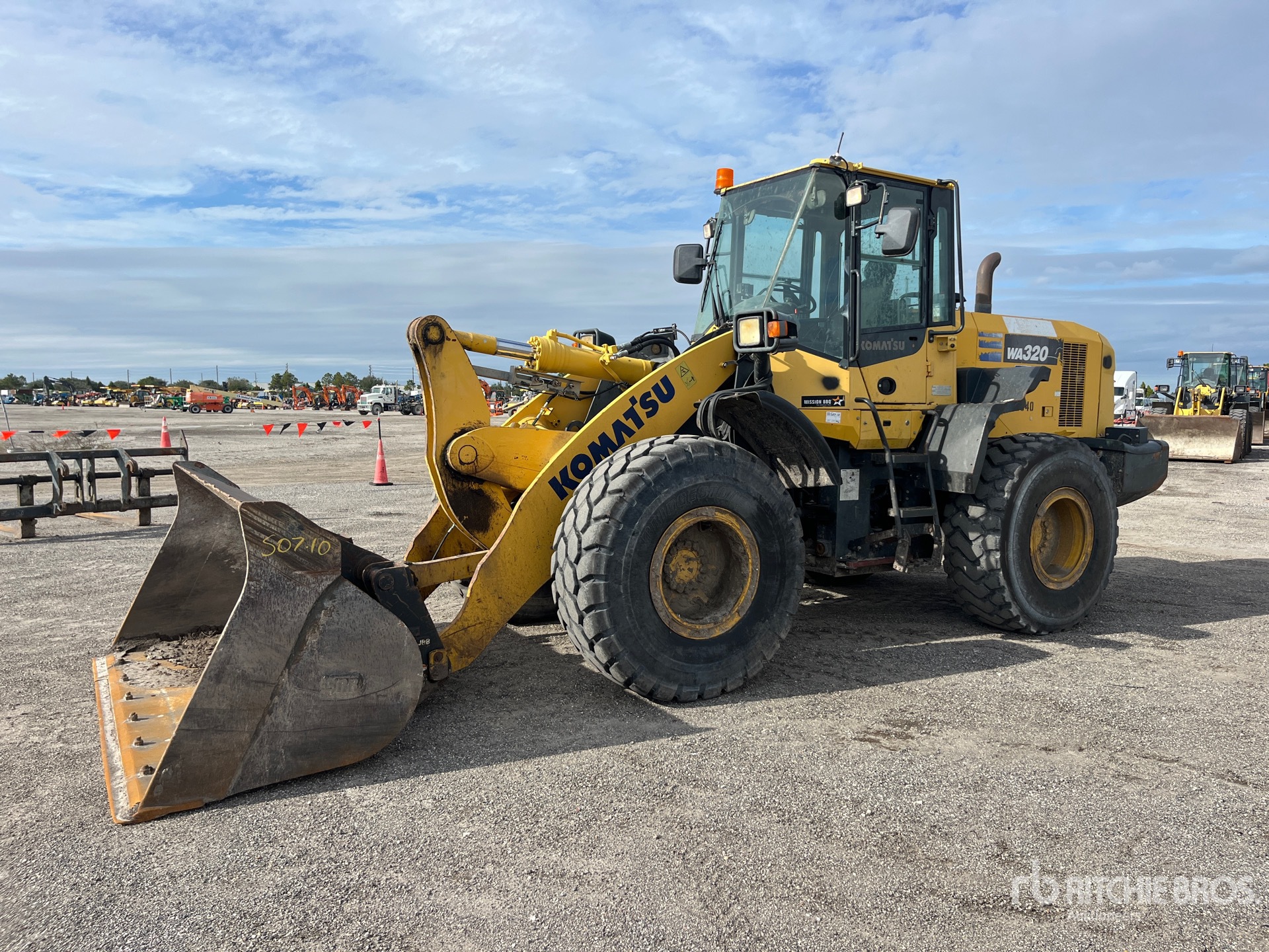 General Appearance with Spin