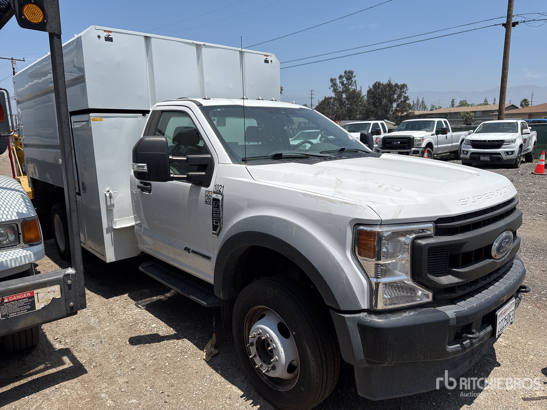 General Appearance with 