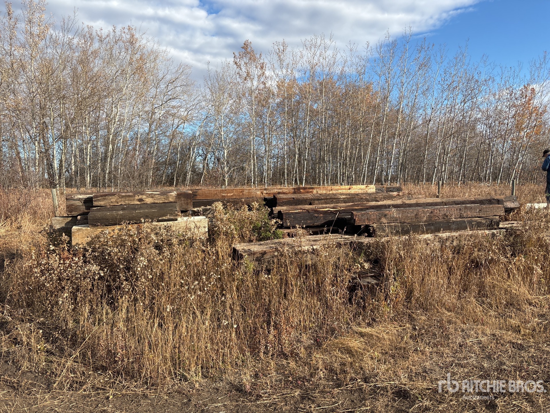 General Appearance with Featured Photo