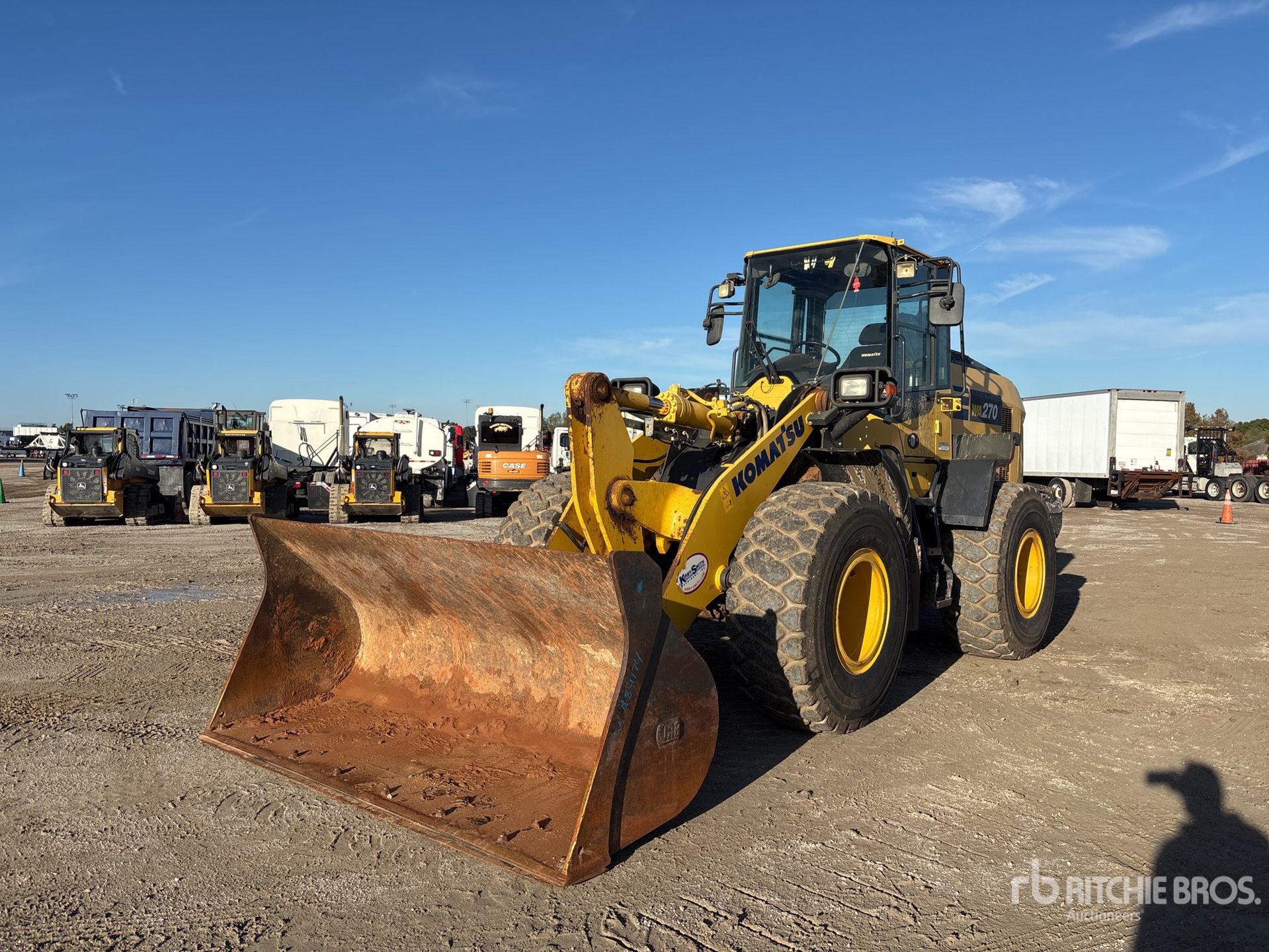 General Appearance with Spin