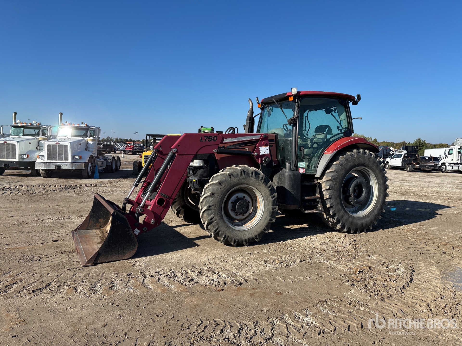 General Appearance with Spin