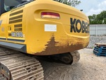 General Appearance with Paint