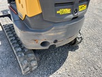 General Appearance with Paint