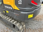 General Appearance with Paint