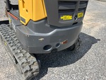 General Appearance with Paint