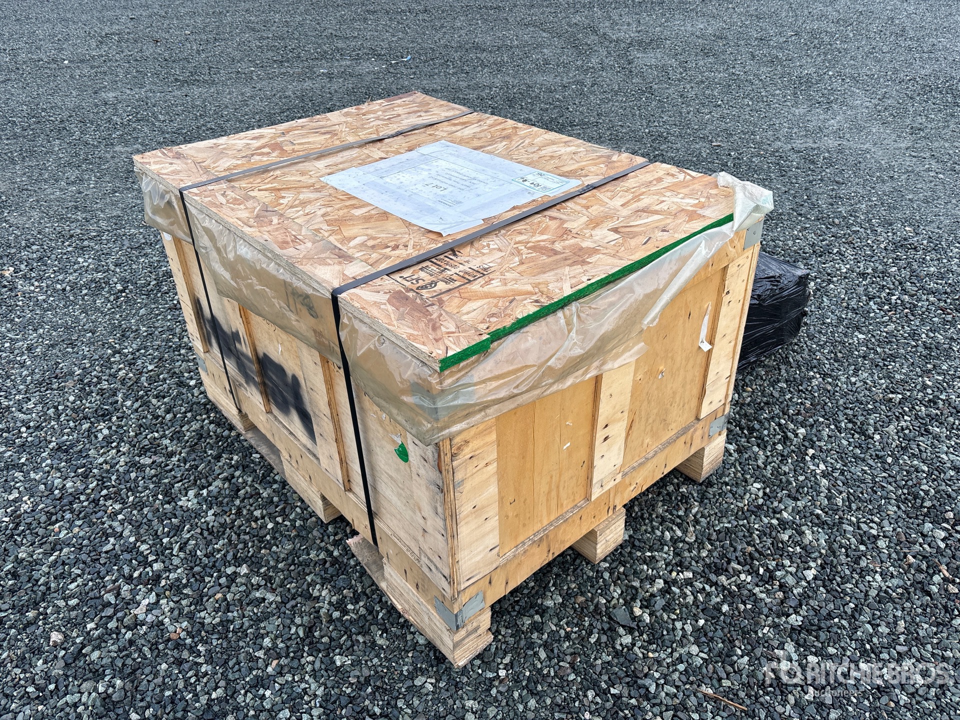 General Appearance with Zdjęcie, prawy dolny róg