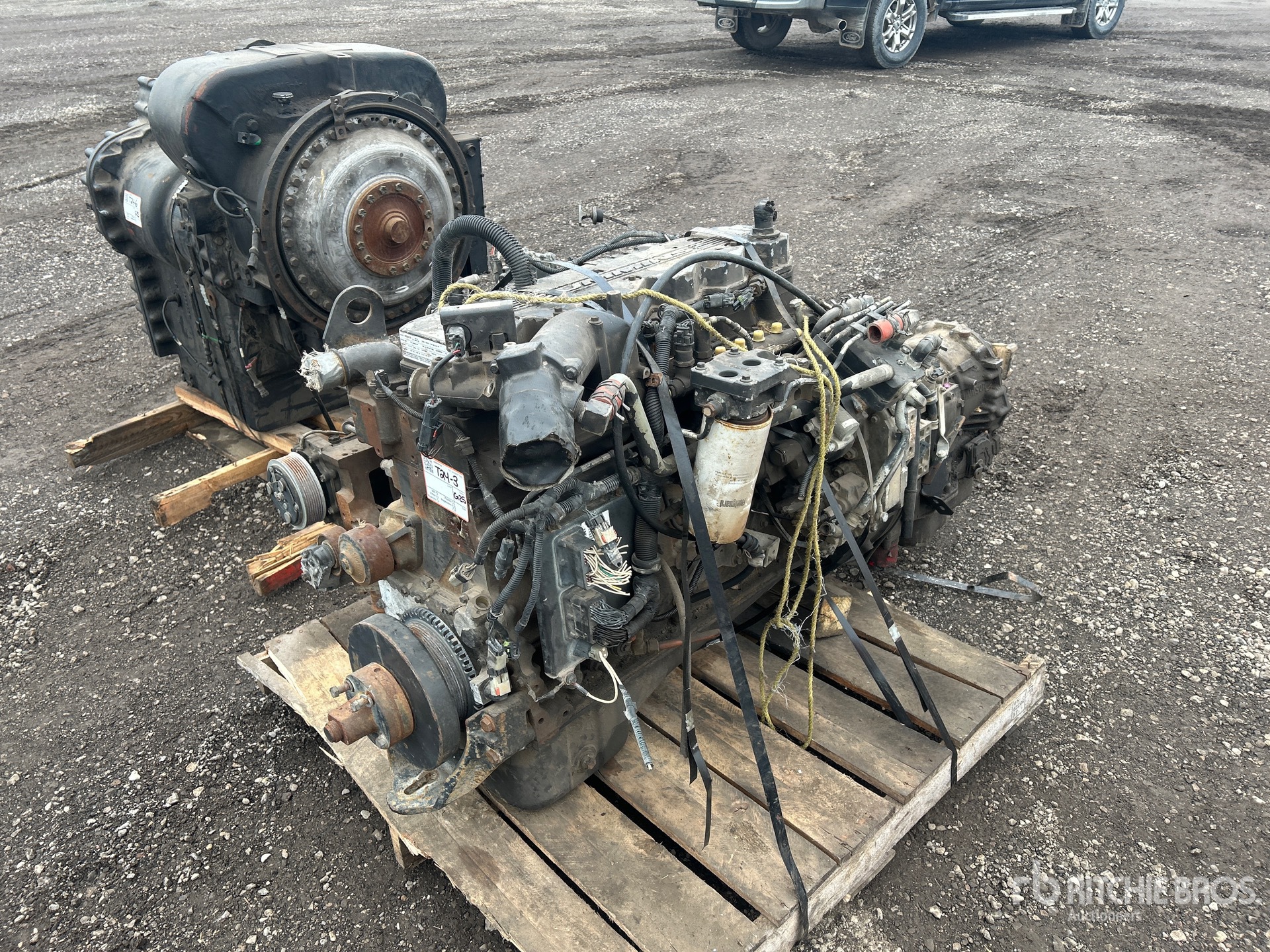 General Appearance with Image, coin arrière droit