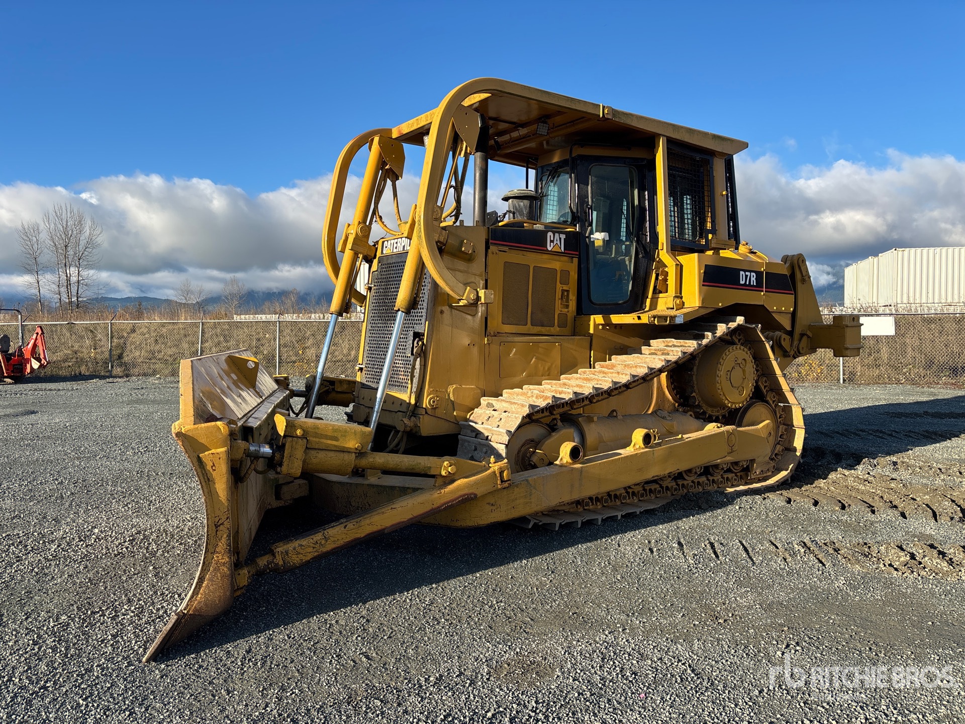 General Appearance with Spin