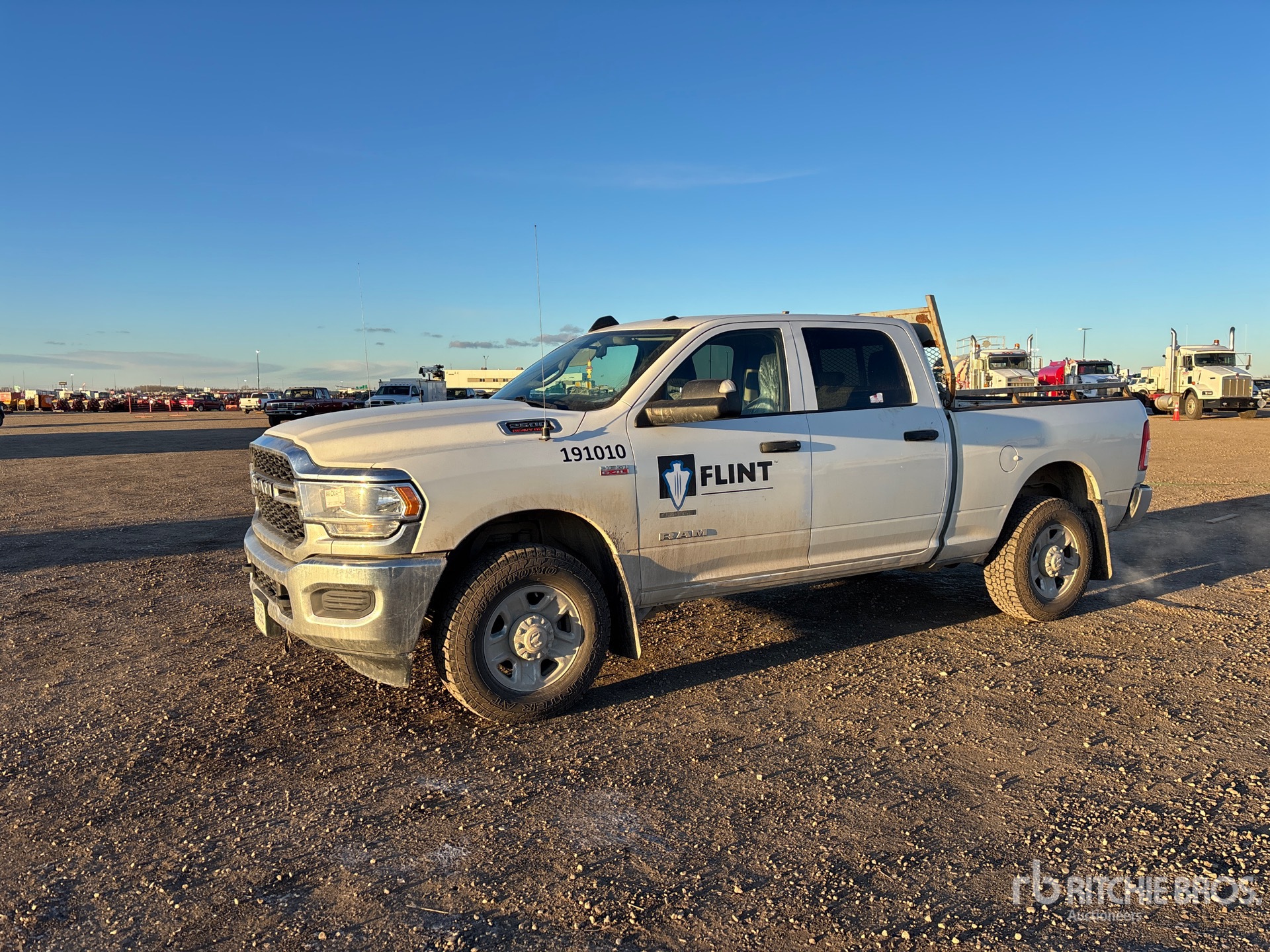 General Appearance with Spin