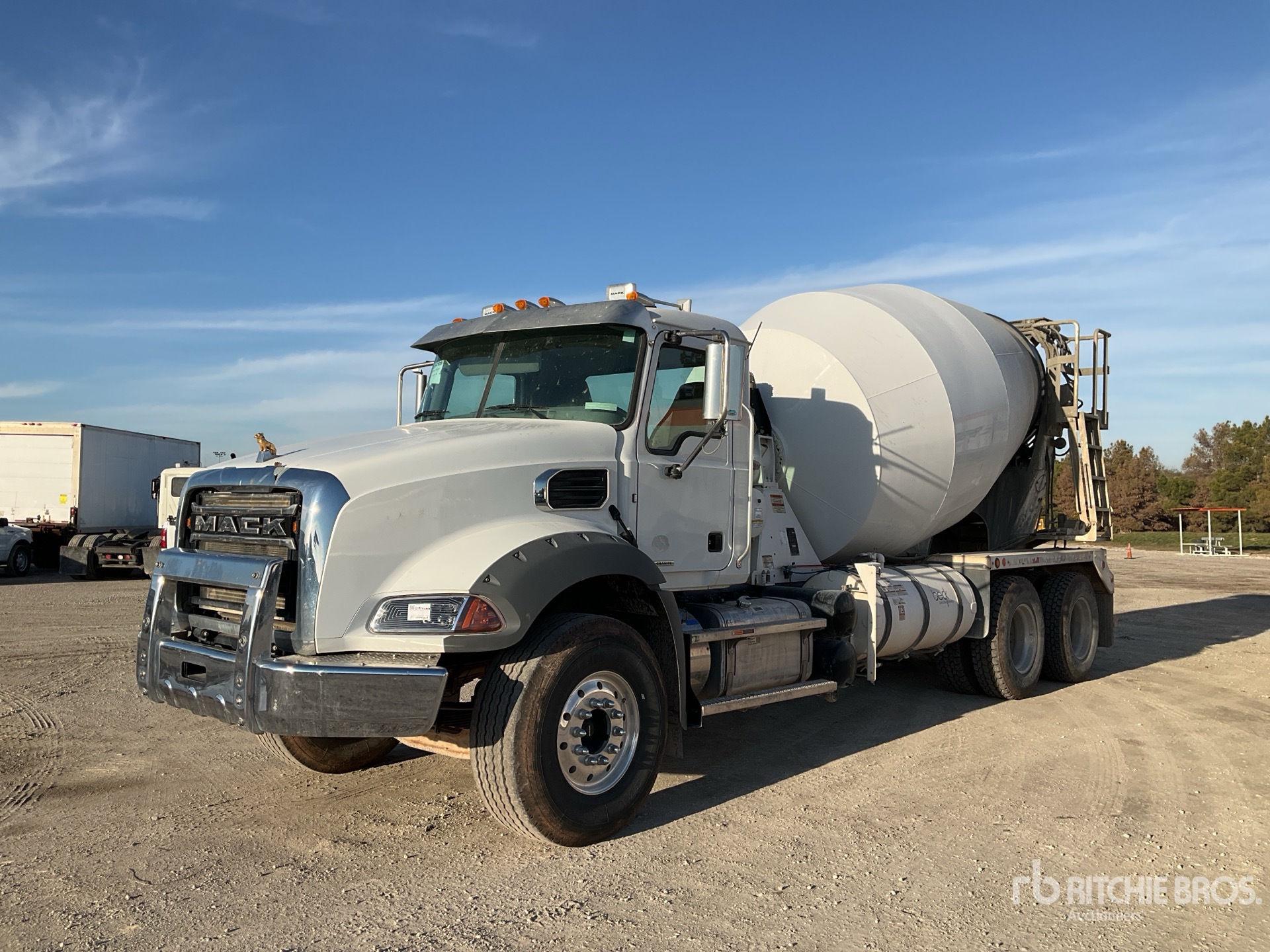 General Appearance with Spin