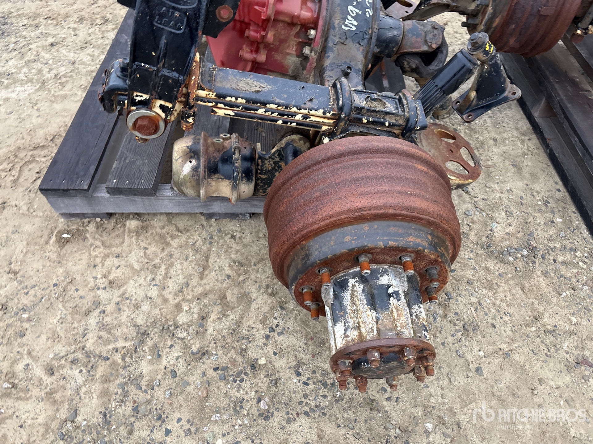 General Appearance with 