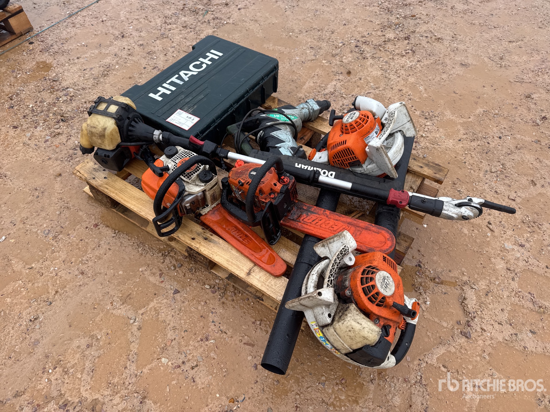 General Appearance with 