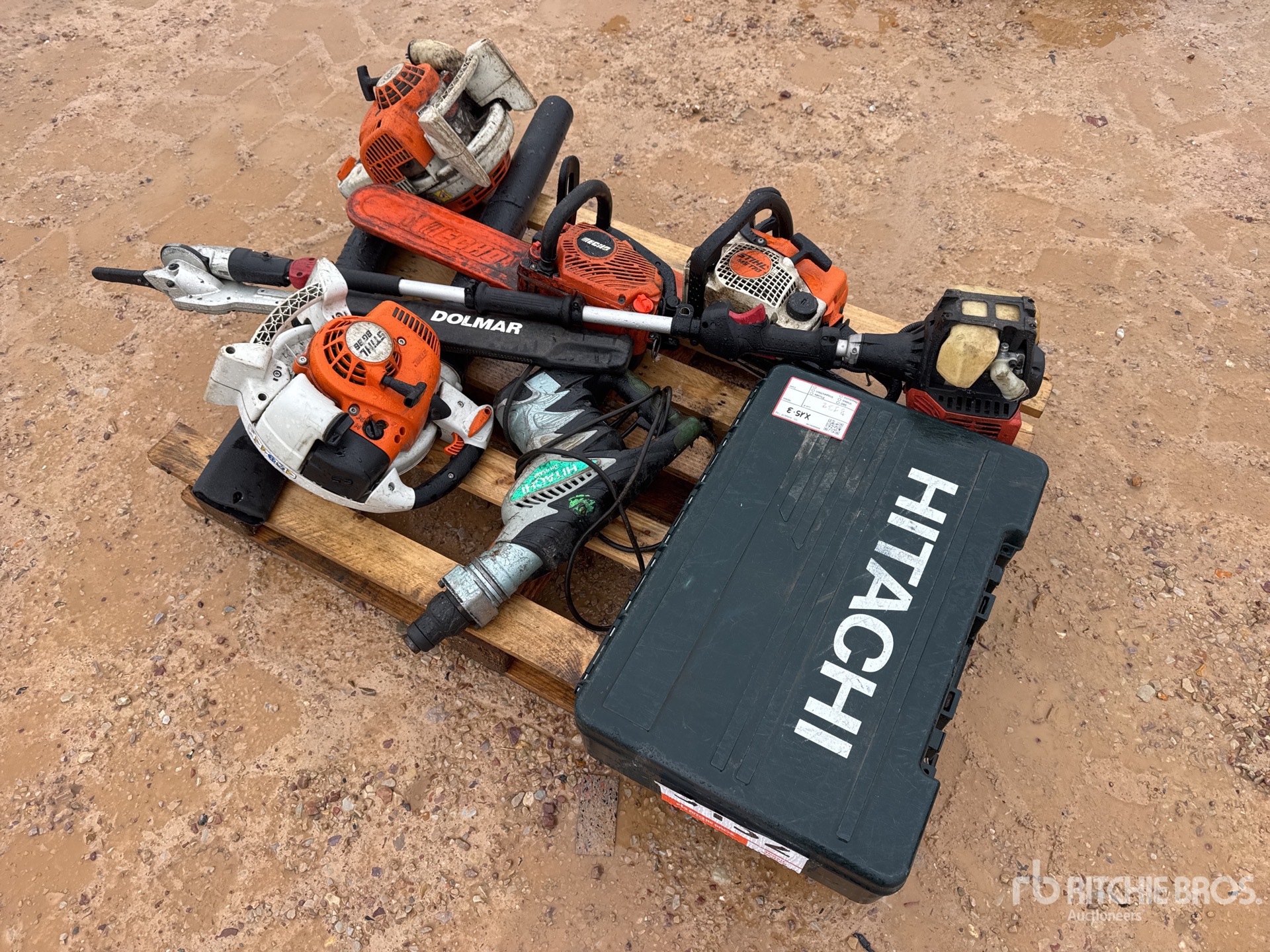 General Appearance with 