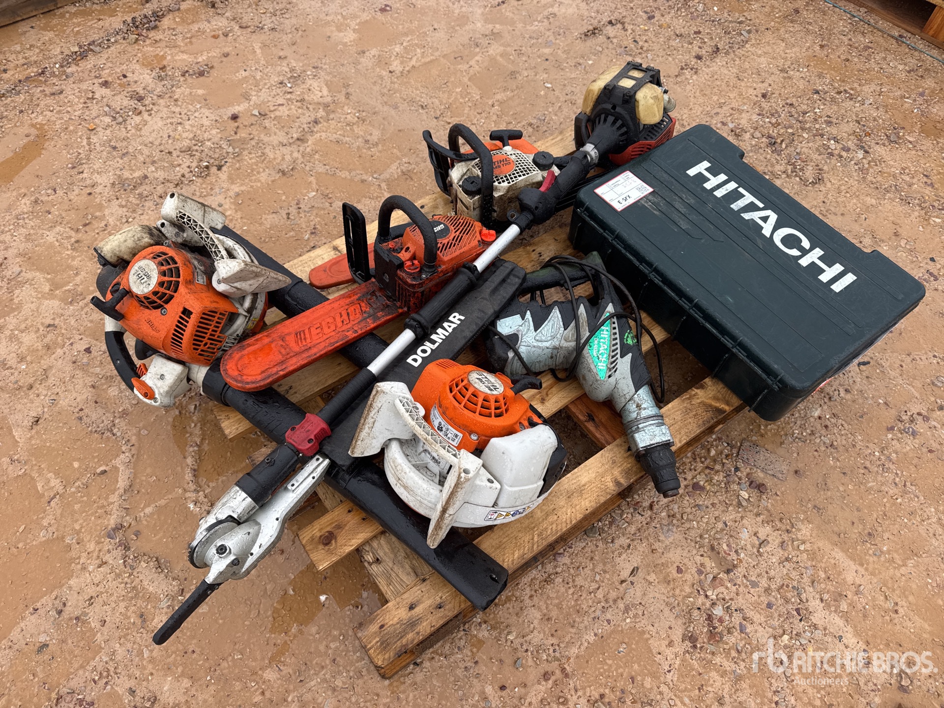 General Appearance with 