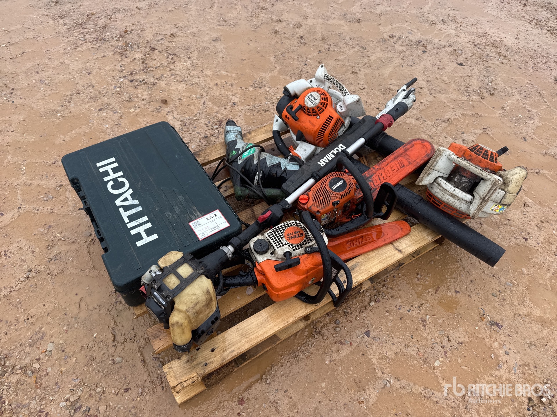 General Appearance with 