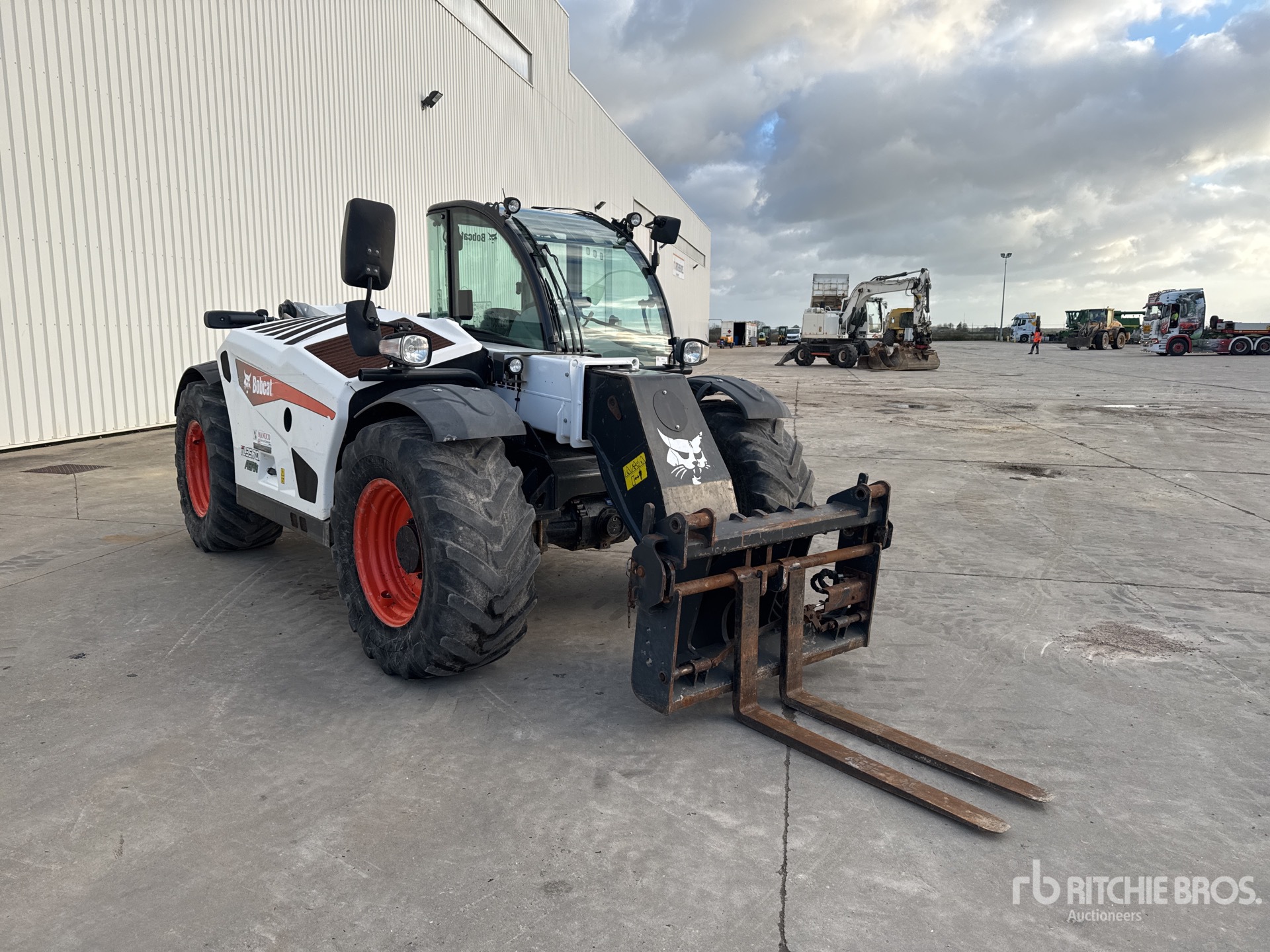 General Appearance with 