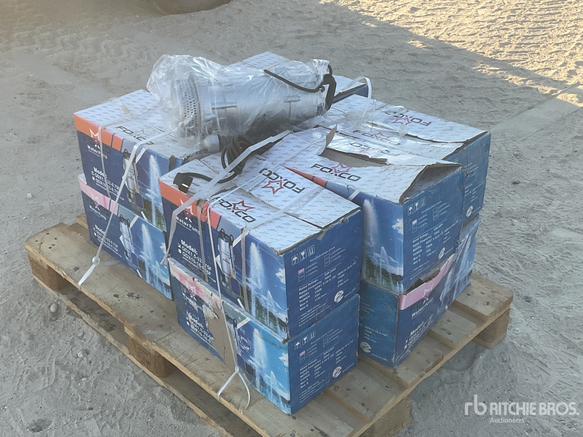 General Appearance with Bild, Ecke hinten rechts