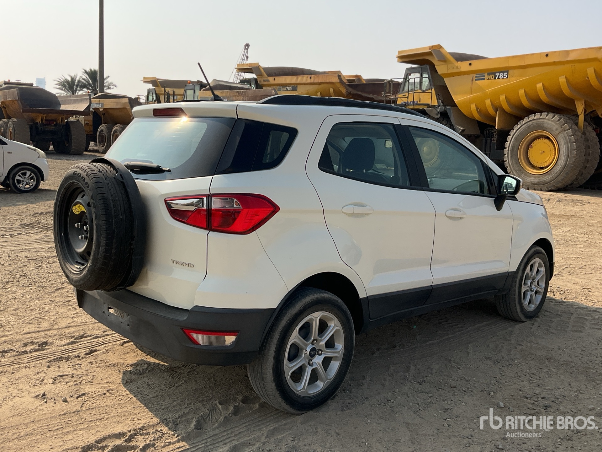 General Appearance with Zdjęcie, prawy dolny róg