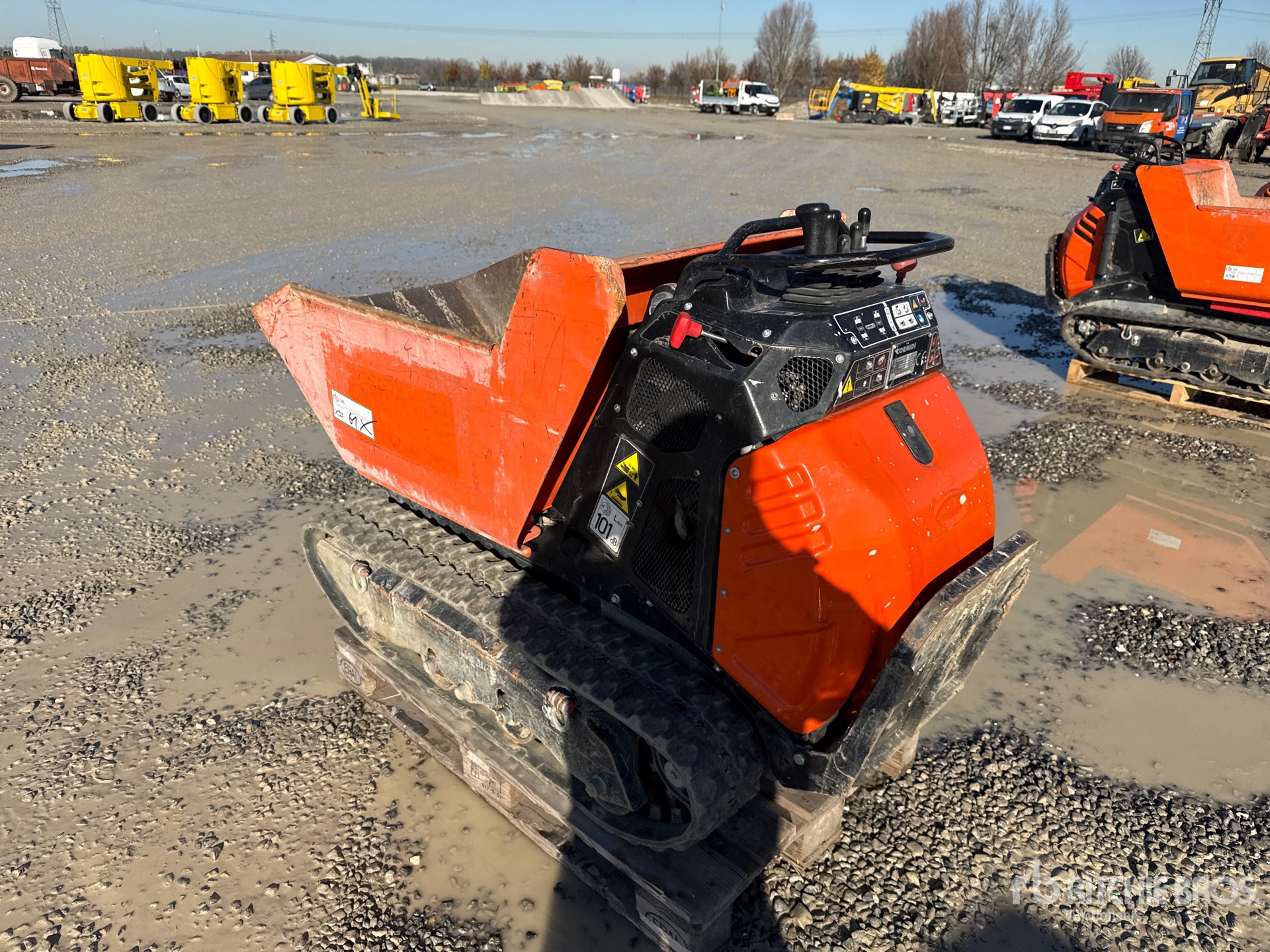 General Appearance with 