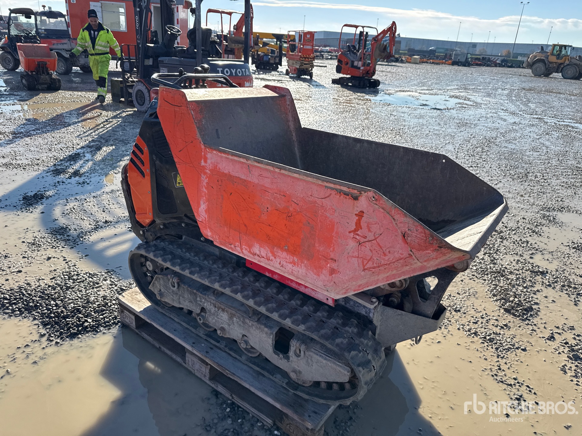 General Appearance with 