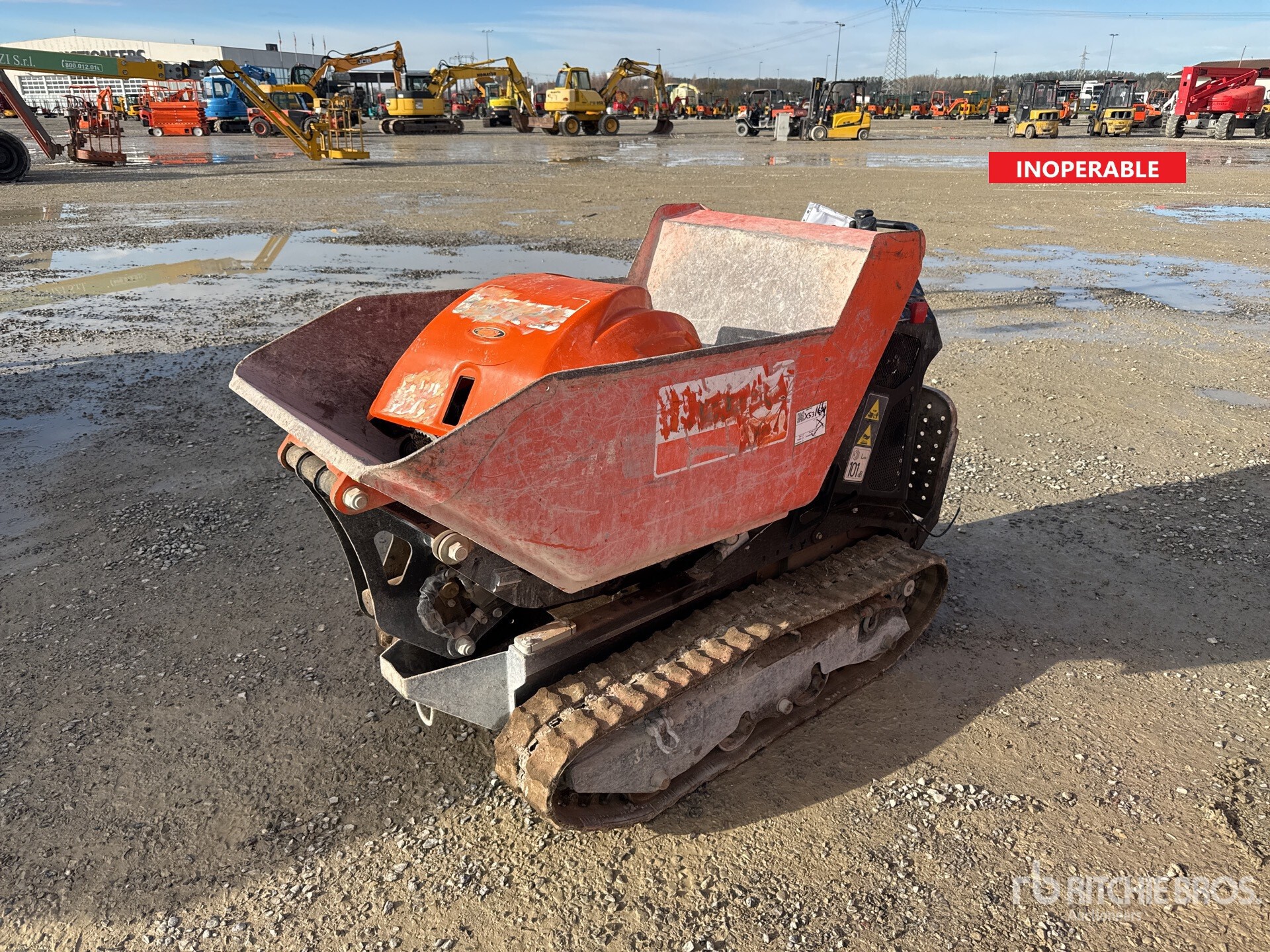 General Appearance with Featured Photo