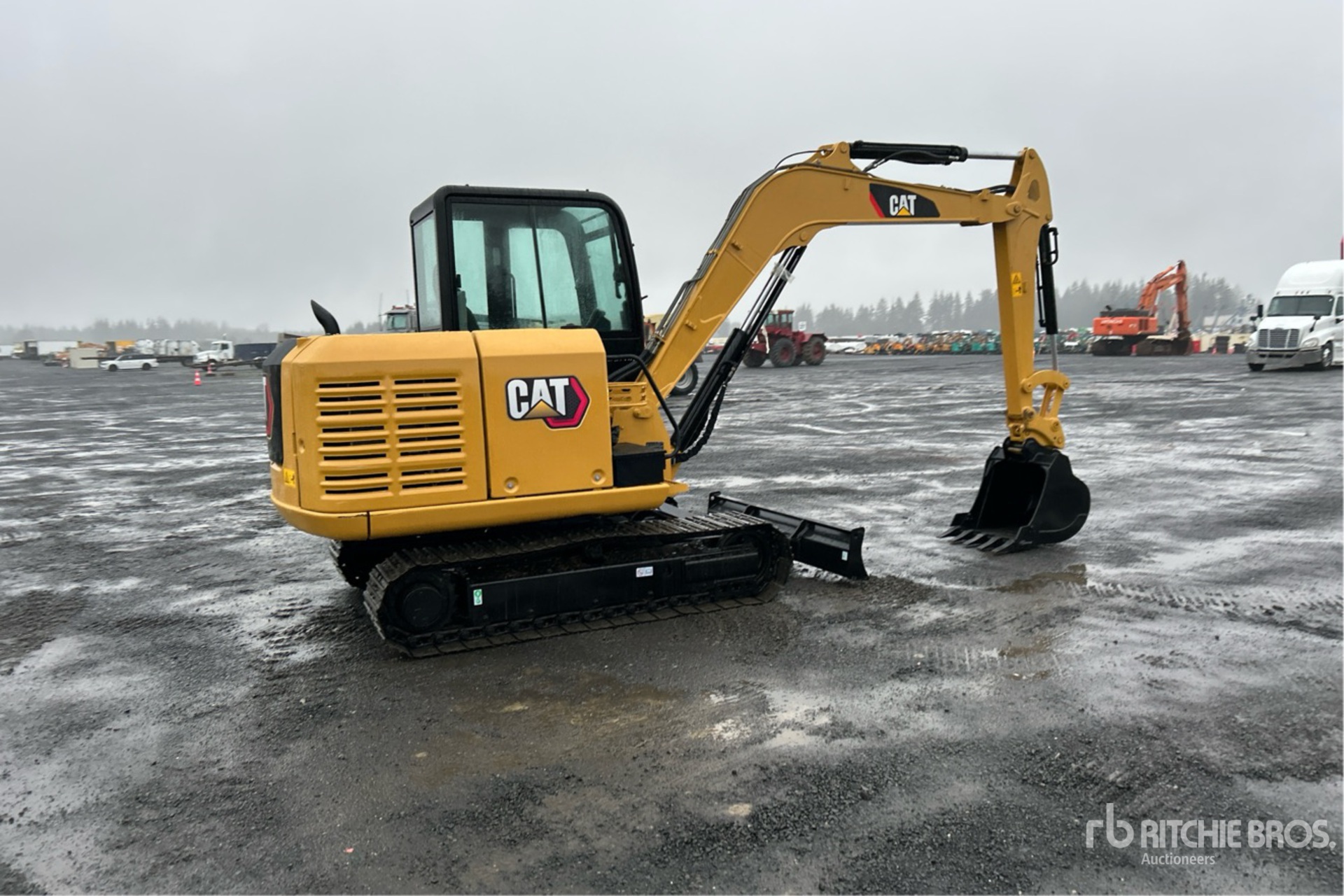 General Appearance with Foto, angolo anteriore sinistro