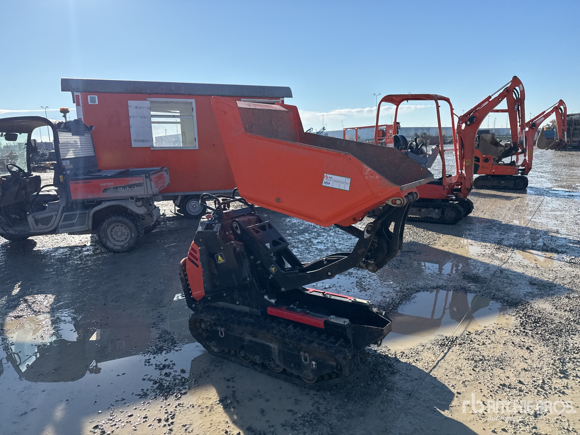 General Appearance with 