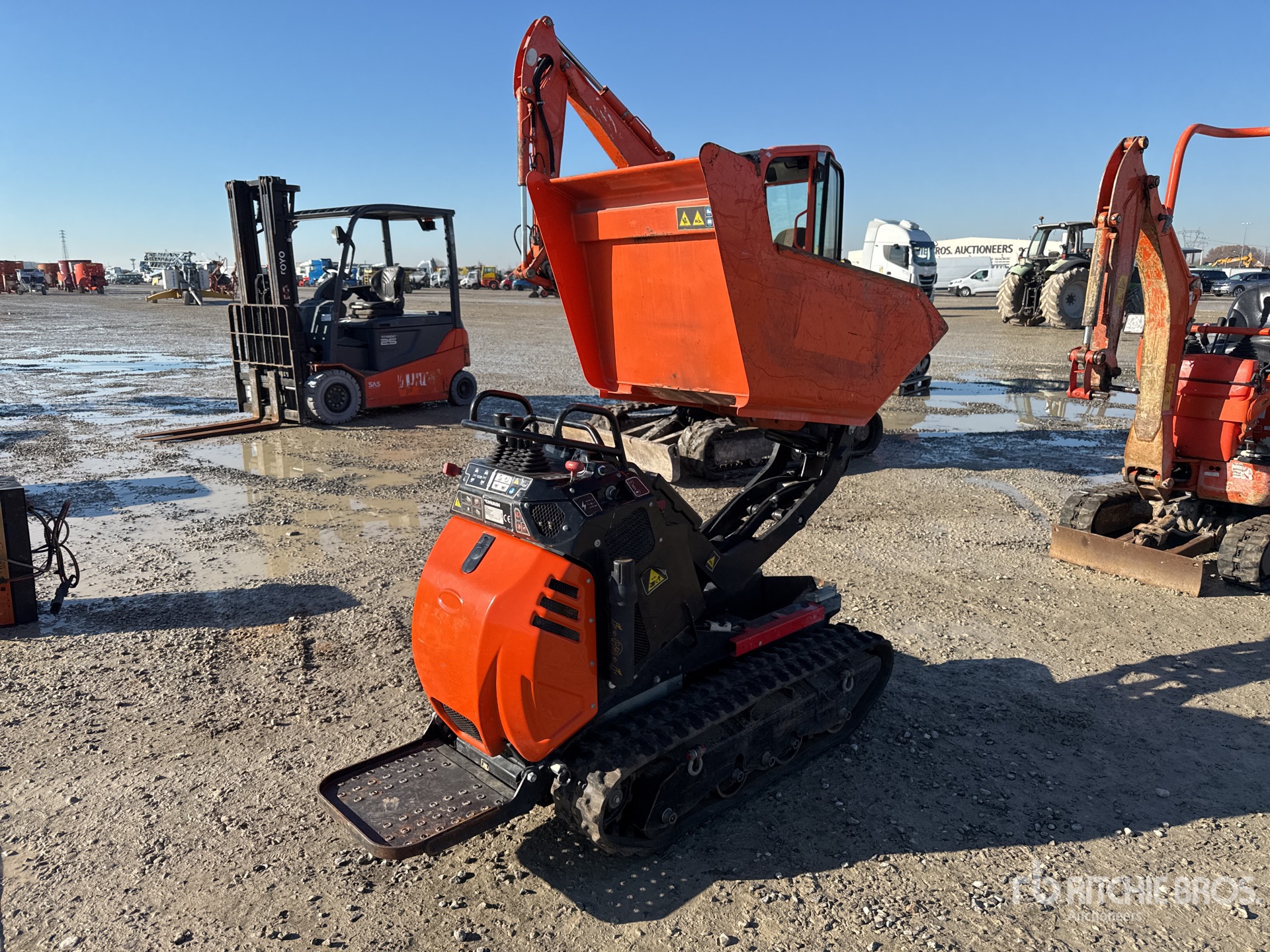 General Appearance with 