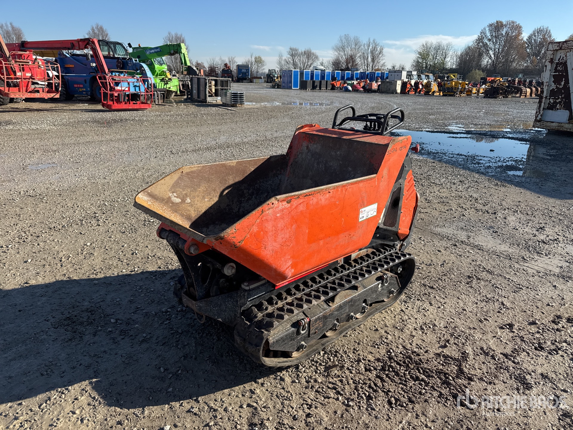 General Appearance with 