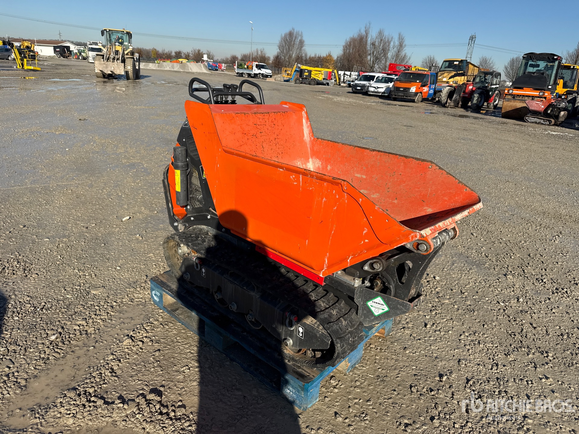 General Appearance with