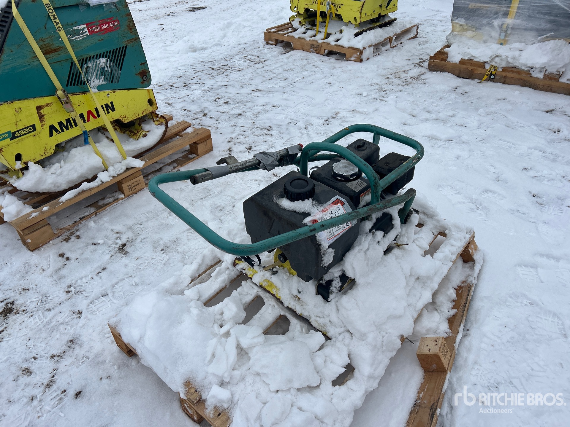 General Appearance with Zdjęcie, prawy dolny róg